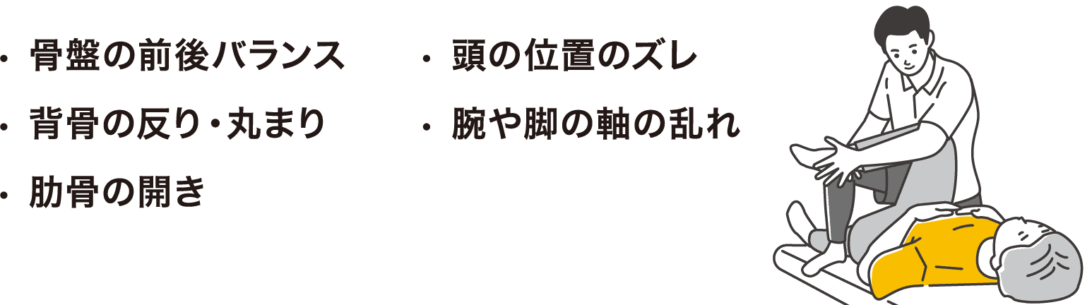 骨盤の前後バランス、背骨の反り・丸まり、肋骨の開き、頭の位置のズレ、腕や脚の軸の乱れを整える説明図